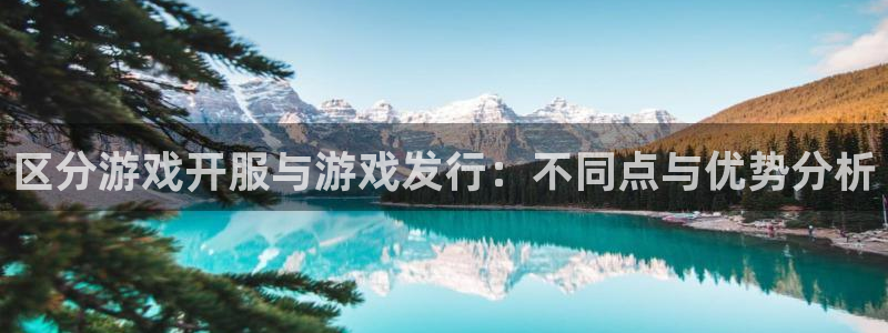 db电竞官网挂机项目怎么样：区分游戏开服与游戏发行：不同点与优势分析