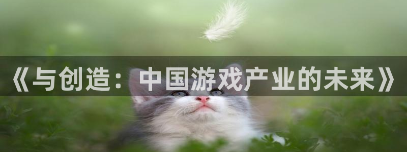 db电竞技术有限公司怎么样：《与创造：中国游戏产业的未来》