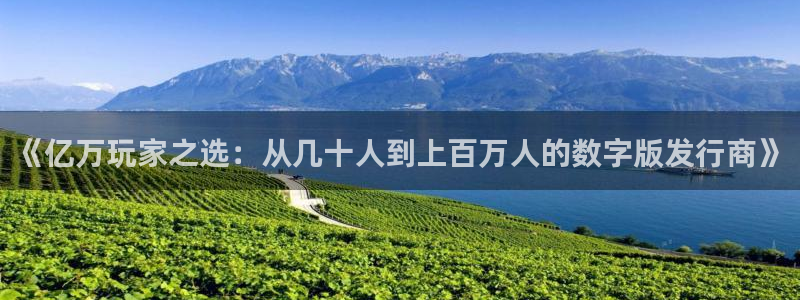 db电竞电子科技股票：《亿万玩家之选：从几十人到上百万人的数字版发行商》