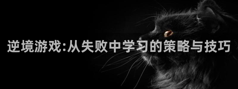 db电竞子签约作家：逆境游戏:从失败中学习的策略与技巧
