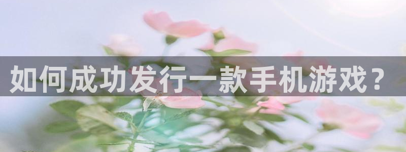 db电竞智邦(北京)品牌策划有限公司：如何成功发行一款手机游戏？