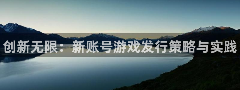 苏州db电竞网络科技有限公司：创新无限：新账号游戏发行策略与实践