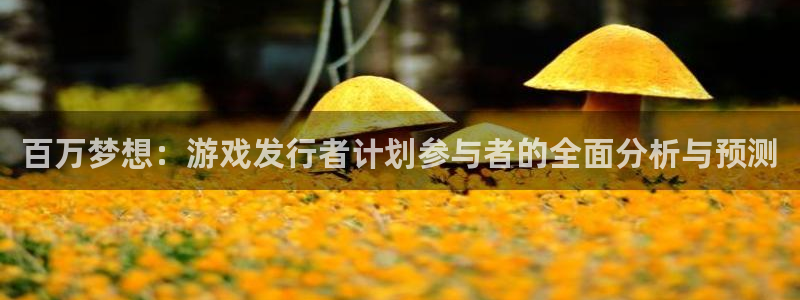 db电竞运动装有哪些品牌