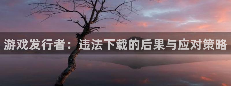 db电竞的寓意：游戏发行者：违法下载的后果与应对策略